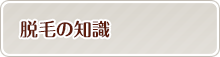 脱毛の知識