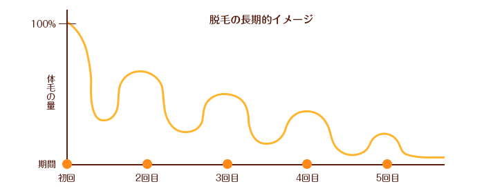 脱毛が１度で終わらない理由